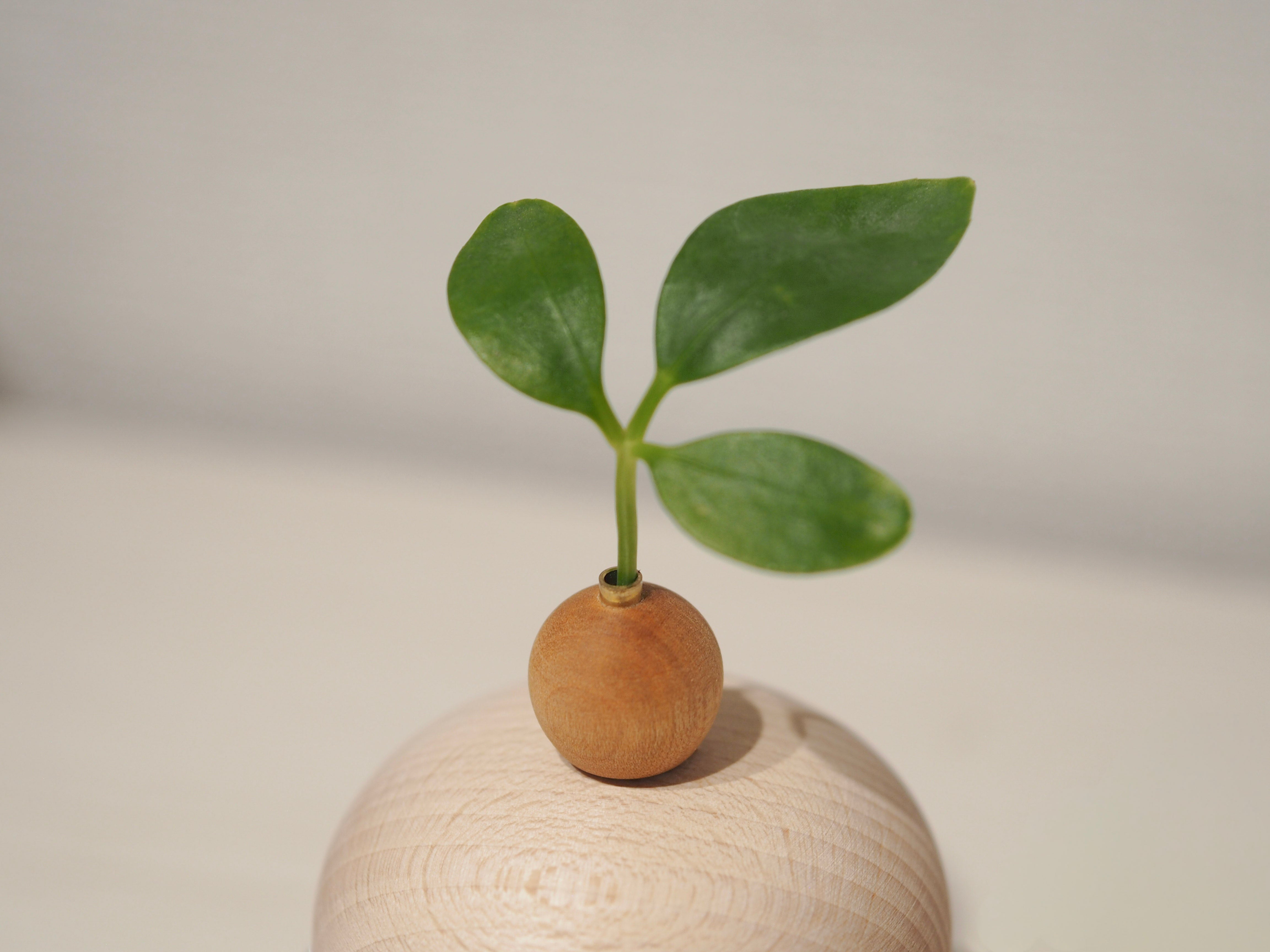 木の鏡餅｜osio craft